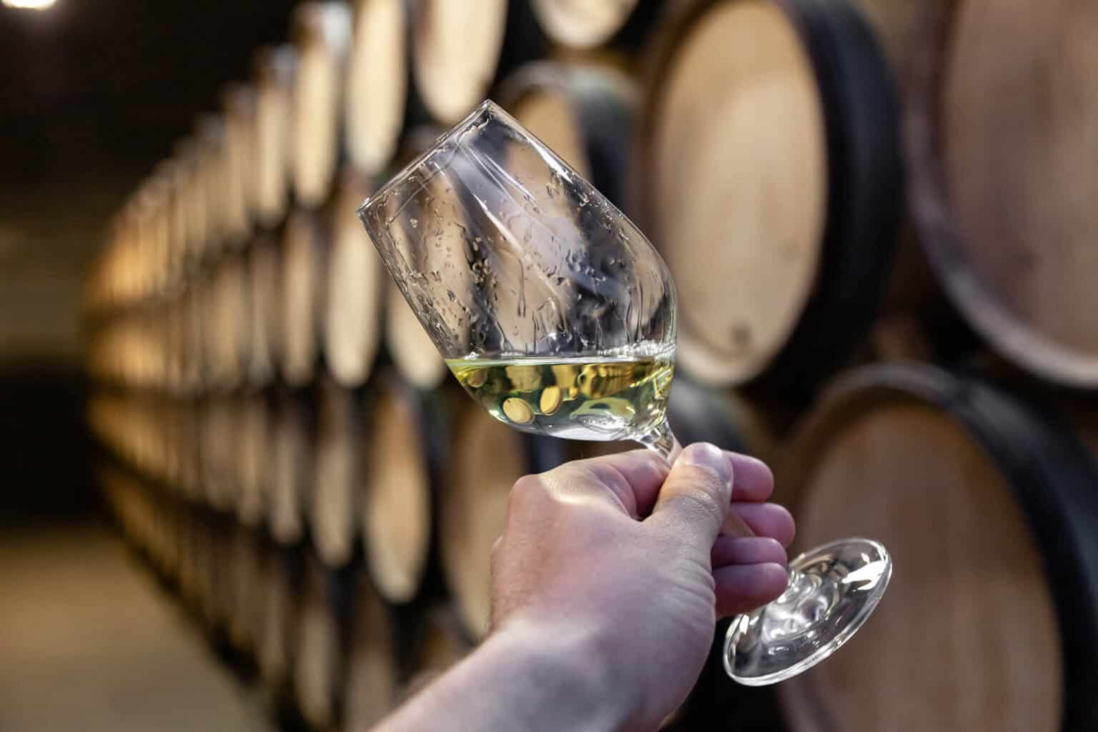 ABC Anything But Chardonnay